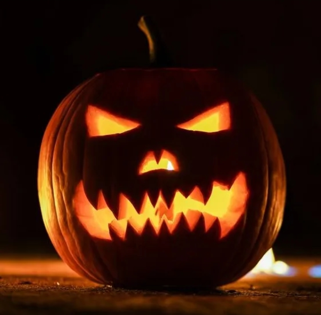 Mesa Aquatics Club (@mesaswims) on Twitter photo Spooky Fast Invite coming up this weekend!!! ๐๐งก๐๐งก
Let's swim SPOOKY Fast ๐โโ๏ธ๐โโ๏ธ
#usaswimming #arizonaswimming #agegroupswimming #collegeswimming #competitiveswimming #competitivesports #clubswimming #coach #mesaaquaticsclub #mesaswimming... teamunify.com/postviewer.jspโฆ Spooky Fast Invite coming up this weekend!!! ๐๐งก๐๐งก
Let's swim SPOOKY Fast ๐โโ๏ธ๐โโ๏ธ
#usaswimming #arizonaswimming #agegroupswimming #collegeswimming #competitiveswimming #competitivesports #clubswimming #coach #mesaaquaticsclub #mesaswimming... teamunify.com/postviewer.jspโฆ