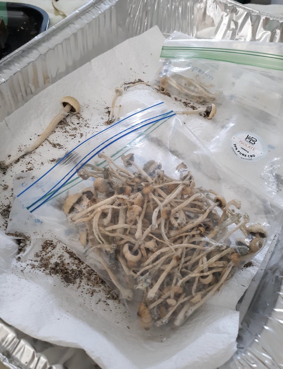 We call it magic mushrooms because they are magical.😋 😋😋