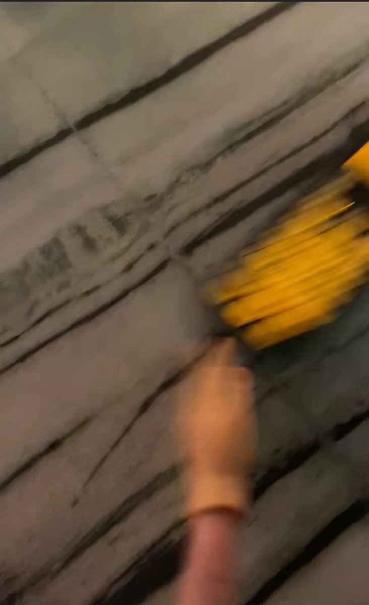 tinyhousebar tweet media