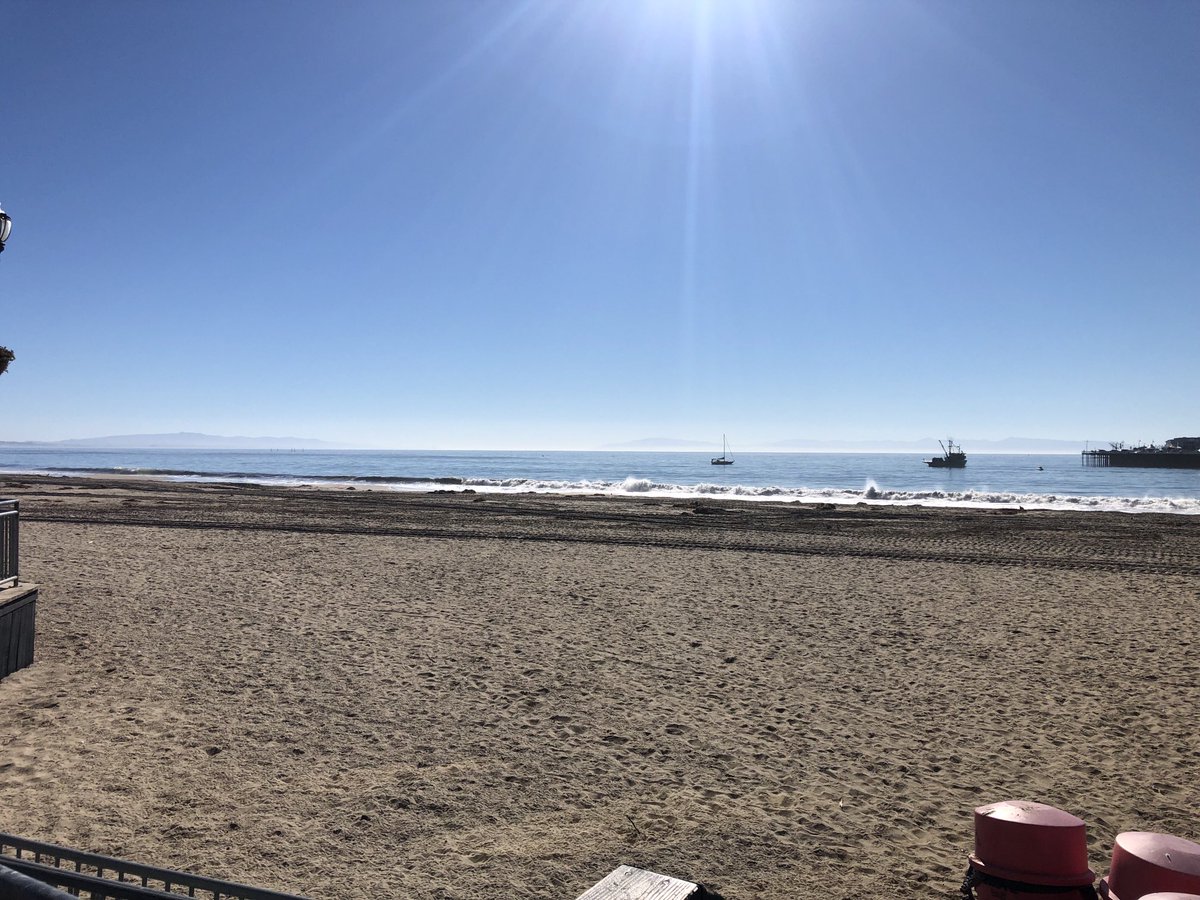 HowiesHotWings's tweet photo. I’ve missed you Cali…. https://t.co/nvVTjGQlla