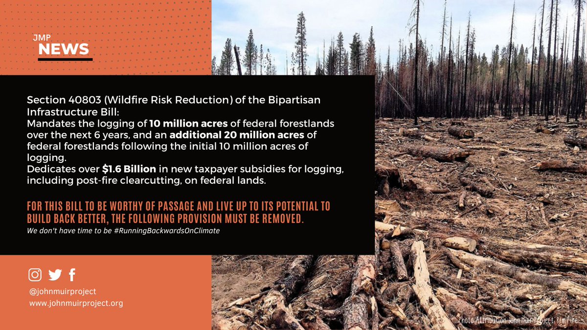 JohnMuirProject's tweet photo. New Report details how provisions in Infrastructure & Reconciliation bills would increase annual CO2 emissions from logging by 48%, pushing these annual emissions well over 1 gigaton per year! We donβt have time to be #RunningBackwards on #ClimateAction! https://t.co/ugSAZMNXoA https://t.co/jXyODo3XiH