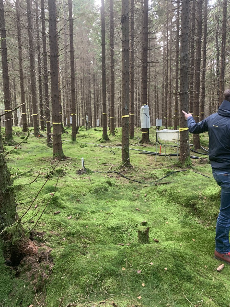 Haozhou45748550's tweet photo. Thanks @SE_Htm for showing us the very tall flux tower and how they monitor the GHG concentration，air temperature and BVOC etc to support the scientific research. Very encouraging experience in the course #ItsElemental https://t.co/DkNJy5faW0
