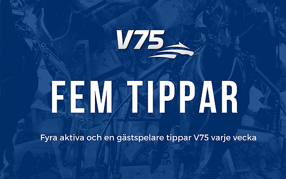 hingstense's tweet photo. V75 till Jägersro 30 oktober 2021 - https://t.co/7ATnC1B9eD https://t.co/WnXlo8Ugpz
