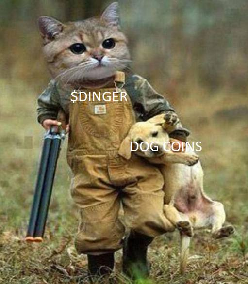 Schrödinger - $DINGER tweet media