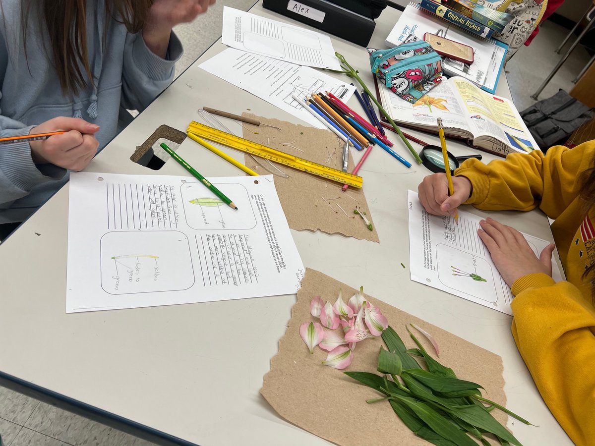 Nickle School tweet media