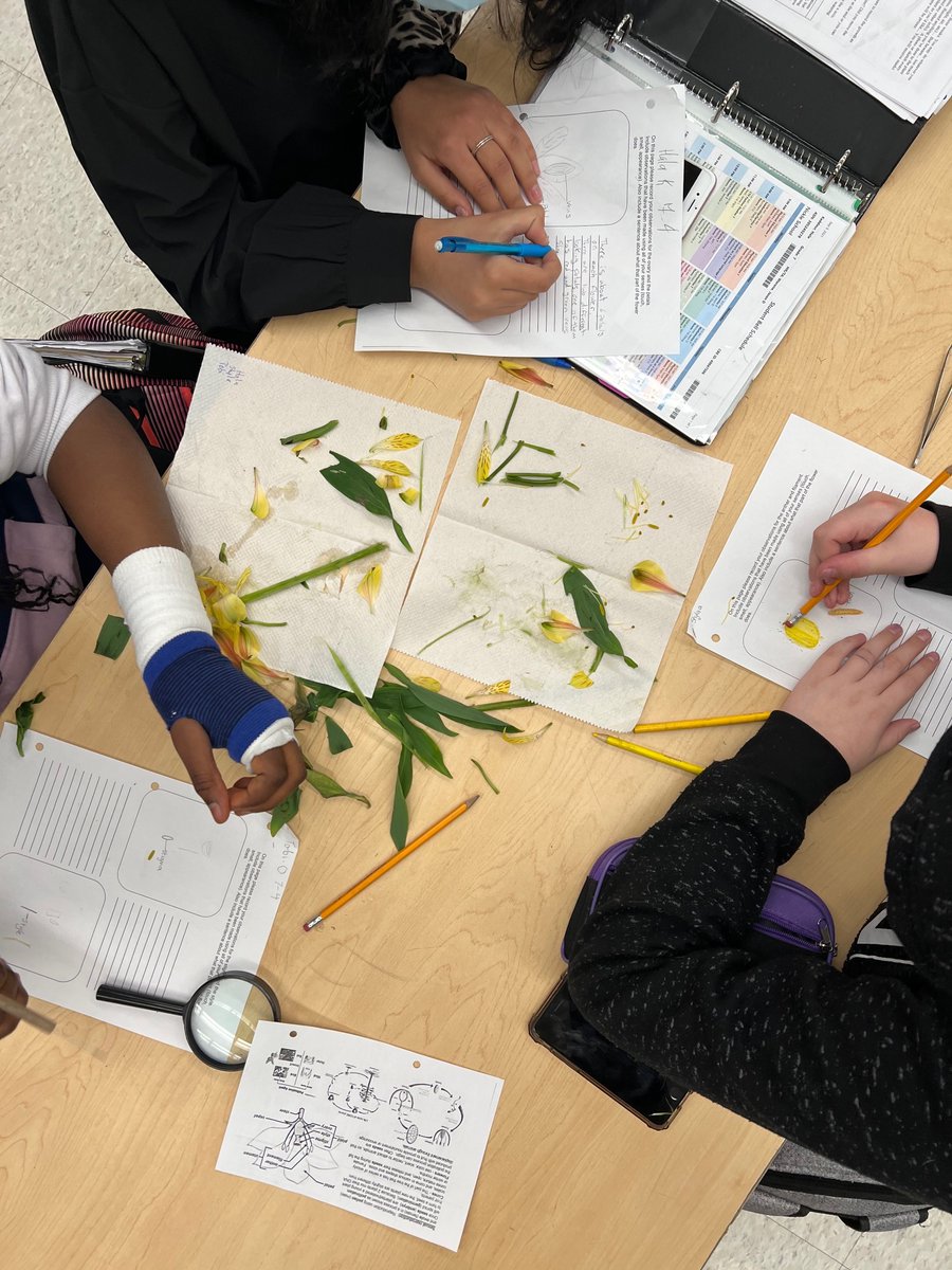 Nickle School tweet media