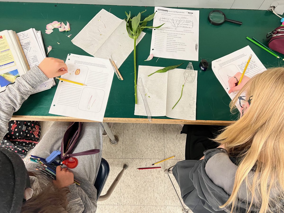 Nickle School tweet media