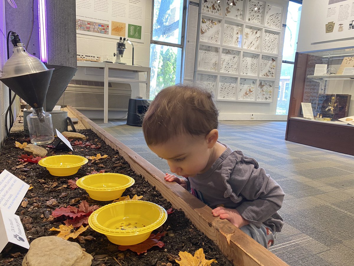 nJim's tweet photo. My little bee keeper is having so much fun. I worked next to @FrostMuseum for years, and it’s taking me until now to actually visit. We will 🐝 back! https://t.co/KmRMF99TqQ