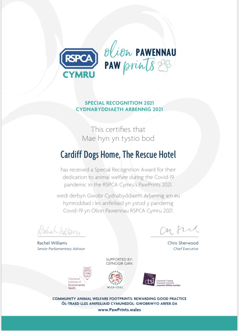 Cardiff Dogs Home, The Rescue Hotel tweet media