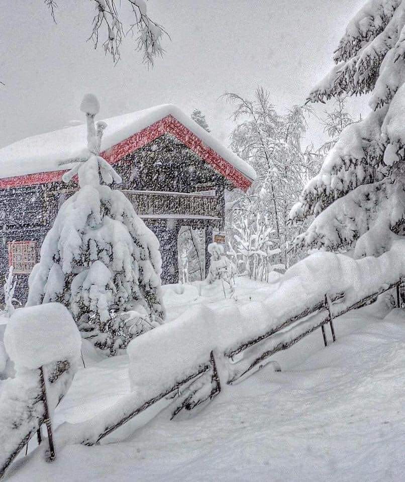 MMmarco0's tweet photo. Nelle zone settentrionali della Norvegia inizia il lungo inverno nordico. Un magico spettacolo bianco. https://t.co/LD3tnG8Uhm