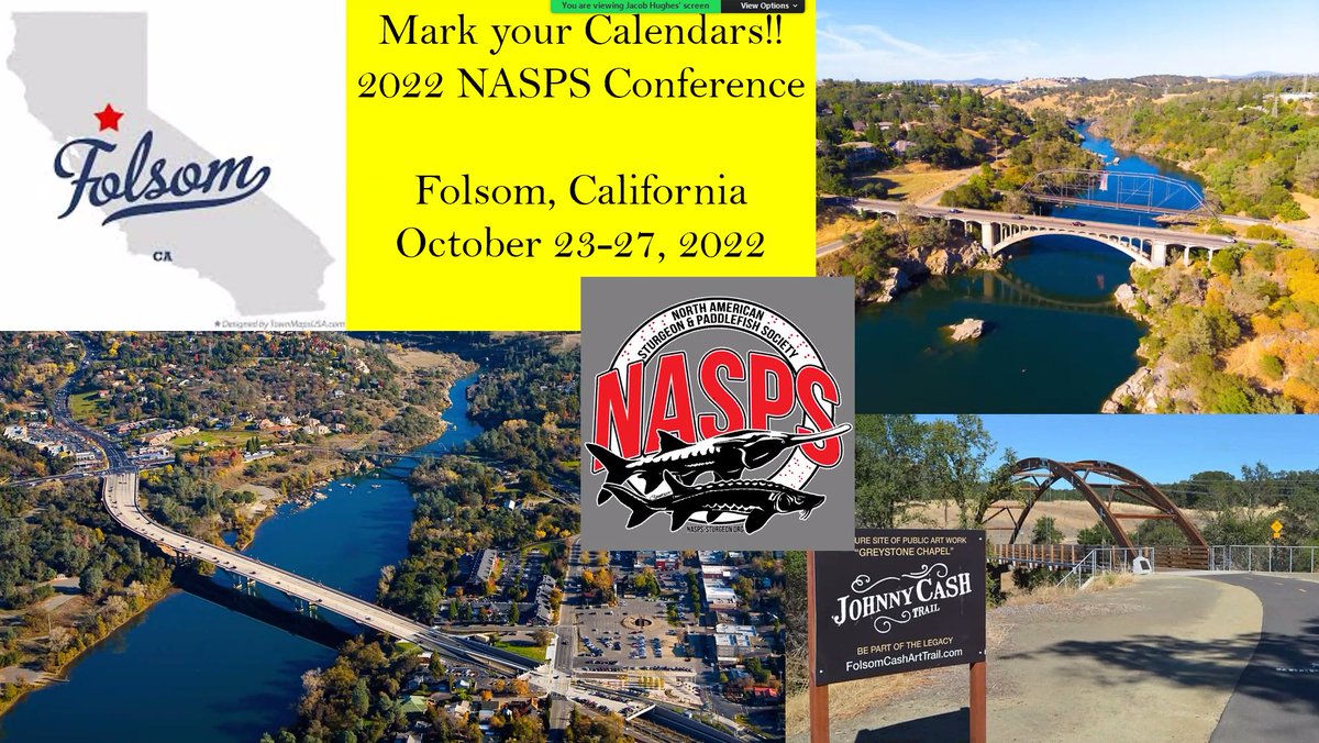 #NASPS2021 is wrapping up. Thanks to all presenters, attendees, and organizers. Looking forward to seeing you all in a non-virtual format (crazy, right?) next year in Folsom, CA!