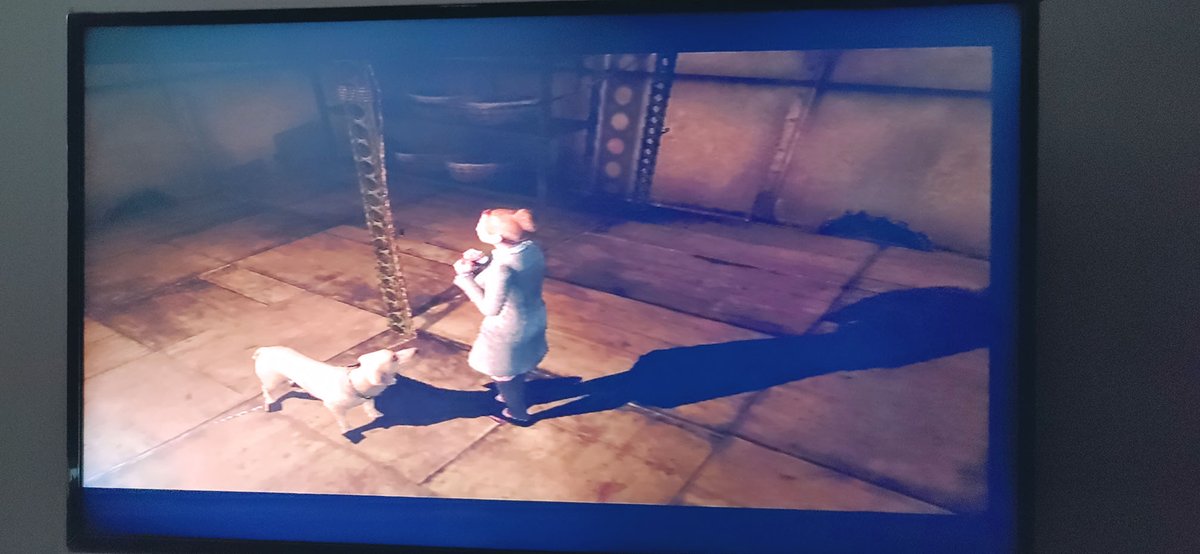 Another round of #AccurateEmulation and once again, it's Rule of Rose! Had a user report a bug that shadows were overlapping the models, but guess what? The PS2 is the same :) Have a look at the dogs feet. This game seems very glitchy lol.