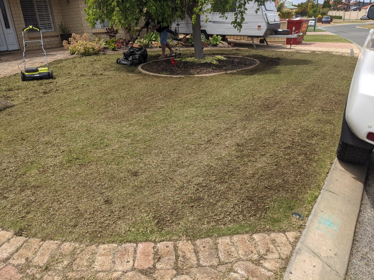 Jonathan Mahady tweet media