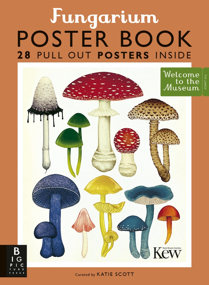 BigPicturePress's tweet photo. 🍂 AUTUMN GIVEAWAY ALERT 🍂

To celebrate all things Autumn we are giving away three #Fungarium sets containing the original Fungarium, the Fungarium Poster Book, and the Fungarium Postcard Collection! 🍄 To enter RT &amp; follow.

Closes Nov 19.  🇬🇧&amp; 🇮🇪 only, T&amp;Cs apply. https://t.co/lxxguy66vl