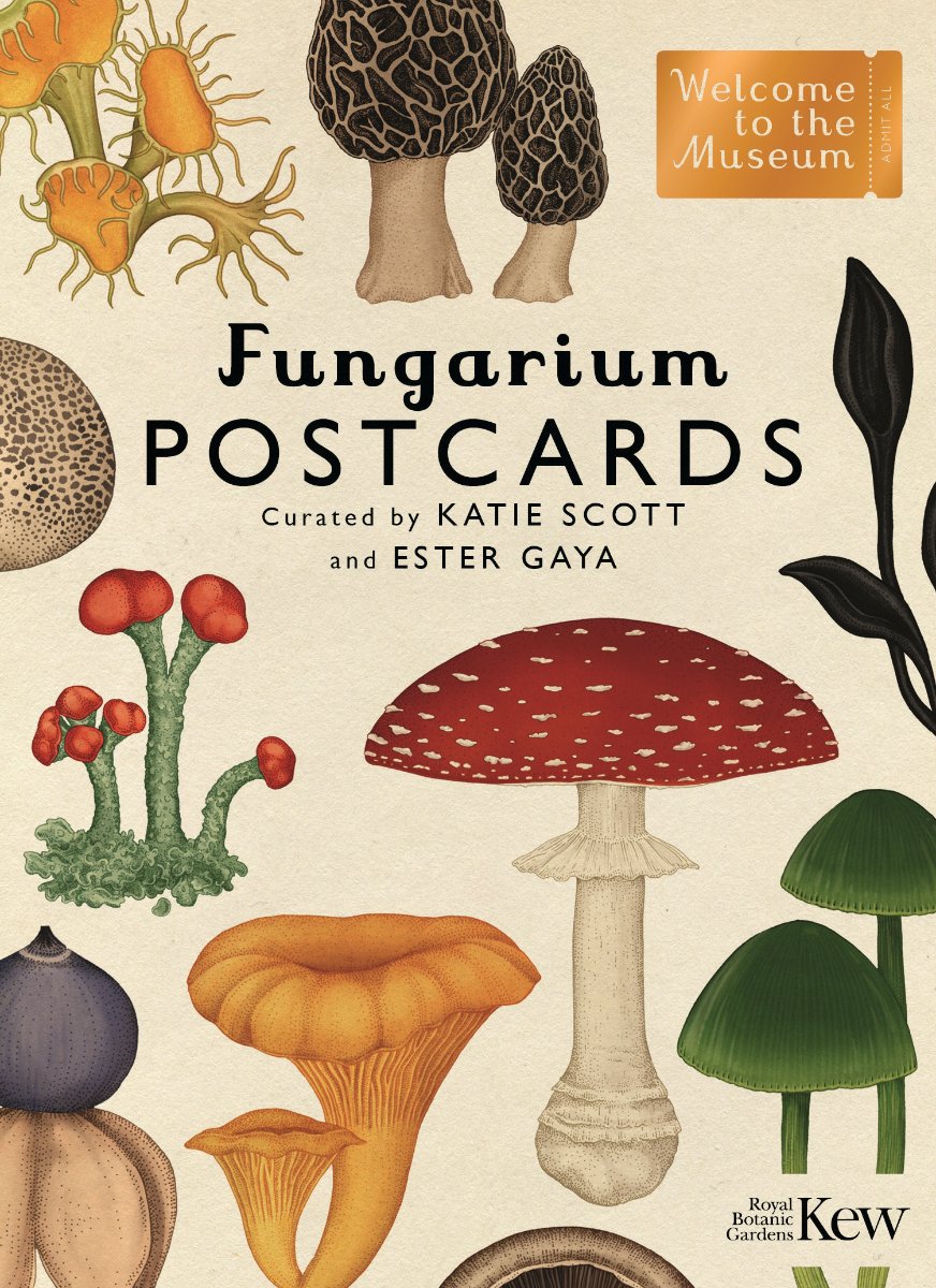 BigPicturePress's tweet photo. 🍂 AUTUMN GIVEAWAY ALERT 🍂

To celebrate all things Autumn we are giving away three #Fungarium sets containing the original Fungarium, the Fungarium Poster Book, and the Fungarium Postcard Collection! 🍄 To enter RT &amp; follow.

Closes Nov 19.  🇬🇧&amp; 🇮🇪 only, T&amp;Cs apply. https://t.co/lxxguy66vl