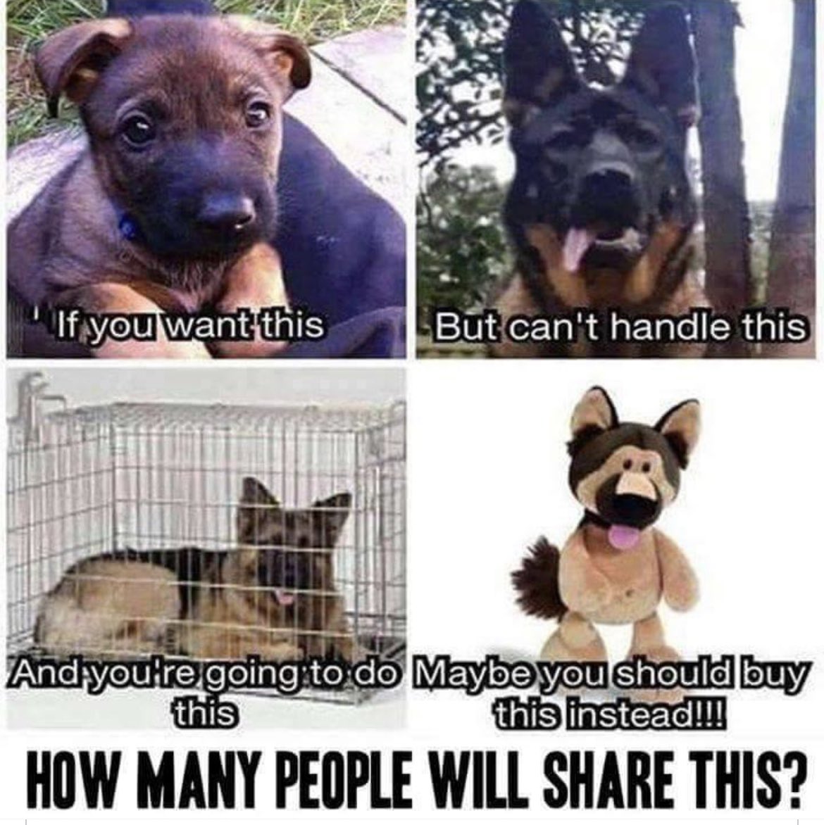 NicNic711's tweet image. Christmas is coming so….