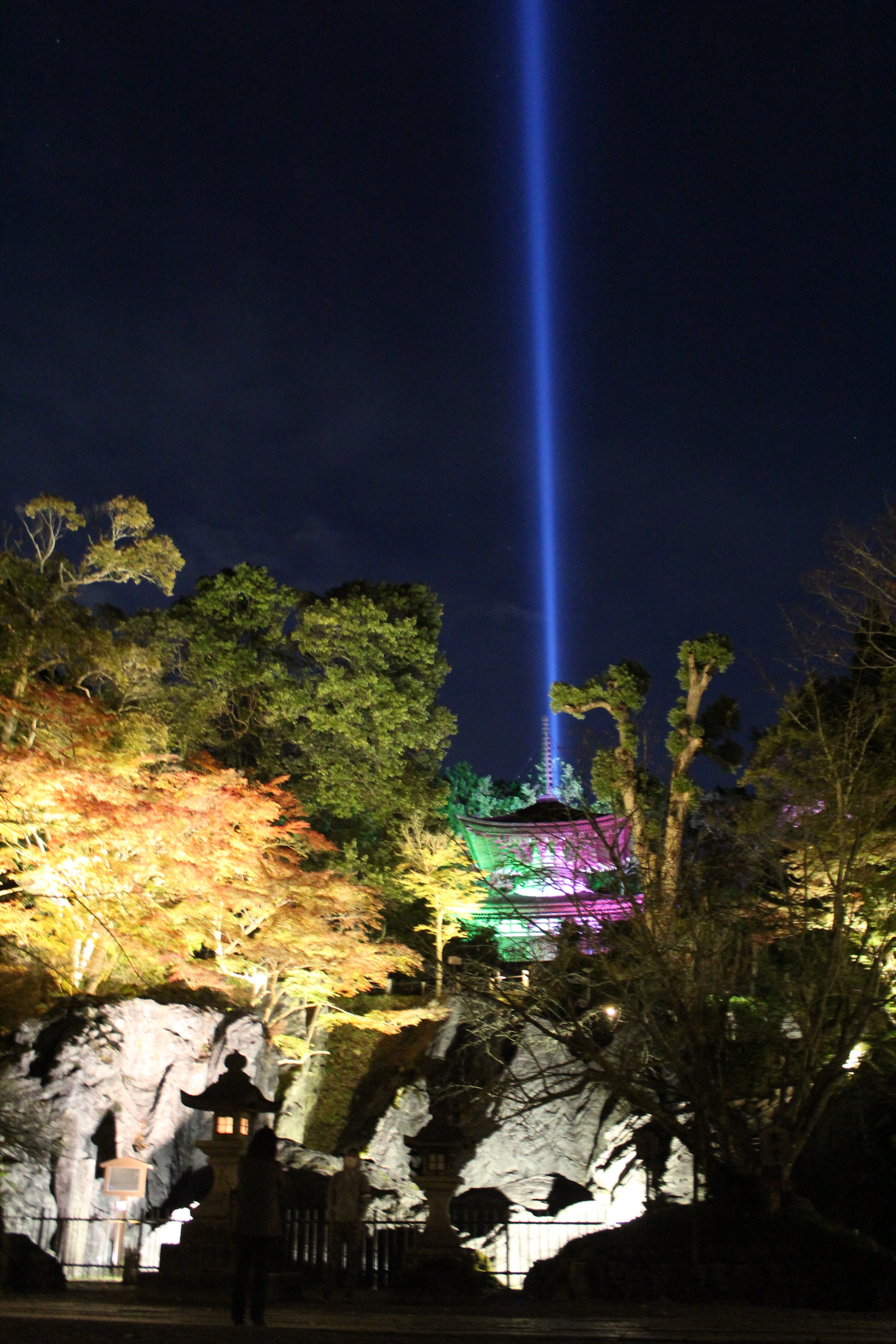 石山寺 Ishiyamadera あたら夜もみじ はじまりました 明けてしまうのが惜しいほど美しい夜のはじまりです 石山寺 紅葉 ライトアップ あたら夜もみじ T Co Dzioeeogsp Twitter