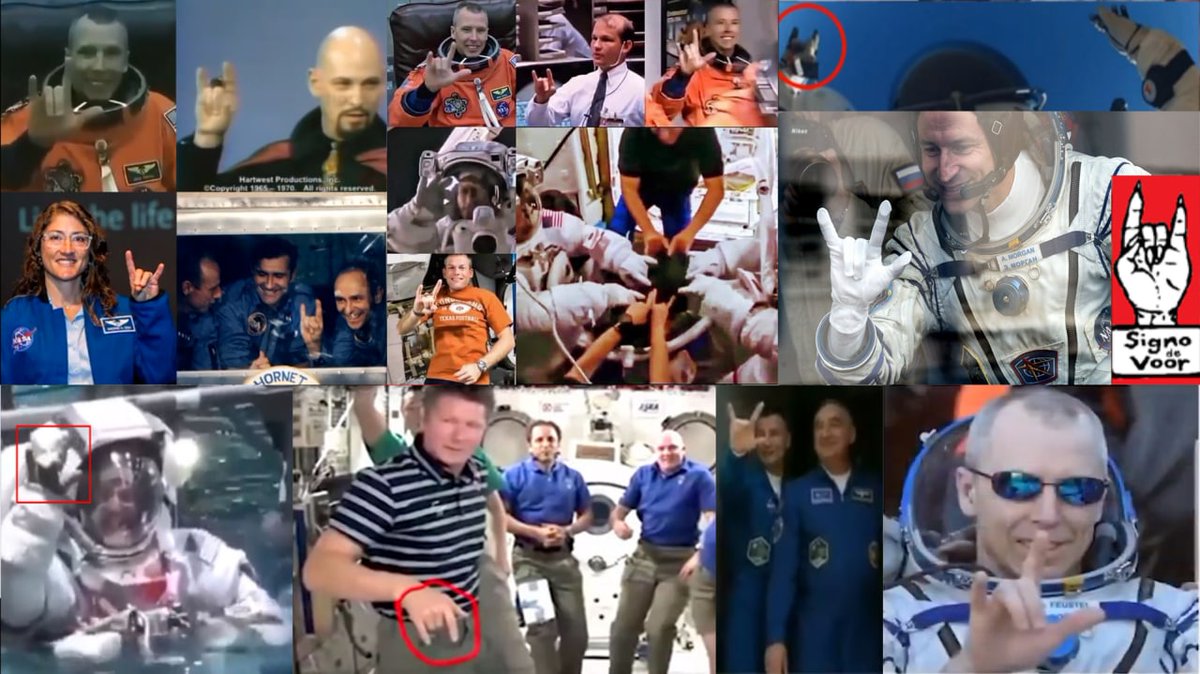 Karthik AS tweet media