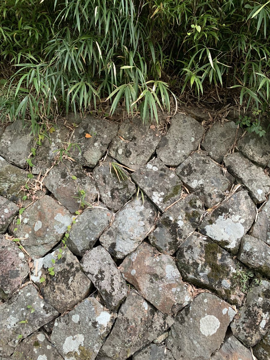 HiroTakeuchi's tweet photo. 主観的小景高知
stone wall.
Everyday scenery of Kochi City Japan, from my point of view.
#stonewall
#stonefence
#Wall
#closeupphoto https://t.co/9jx5qV7TBe