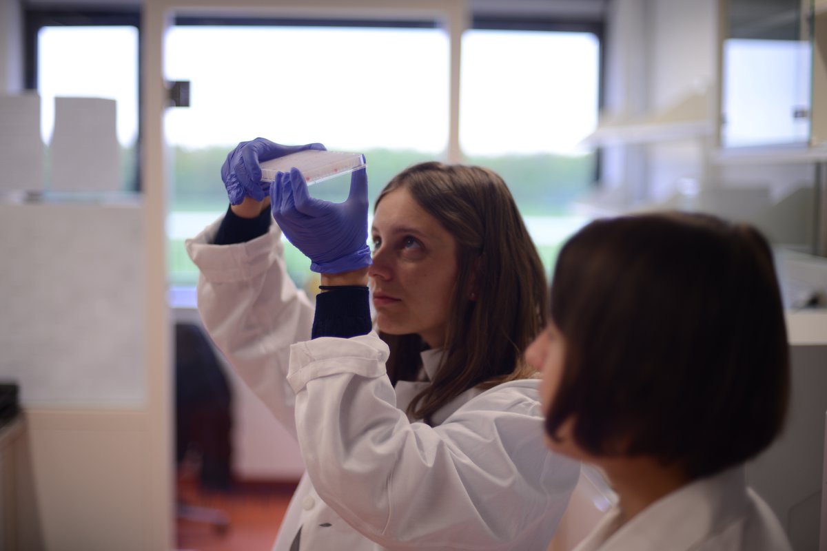 Join our fight against cancer! 
To leverage our allosteric platform, we are growing our incredible team and are now recruiting (d/f/m) in Munich: 

- Full-time Principal Scientist and
- Full-time Laboratory Head 

Let's treat cancer smarter. Together.

eisbach.bio/career/