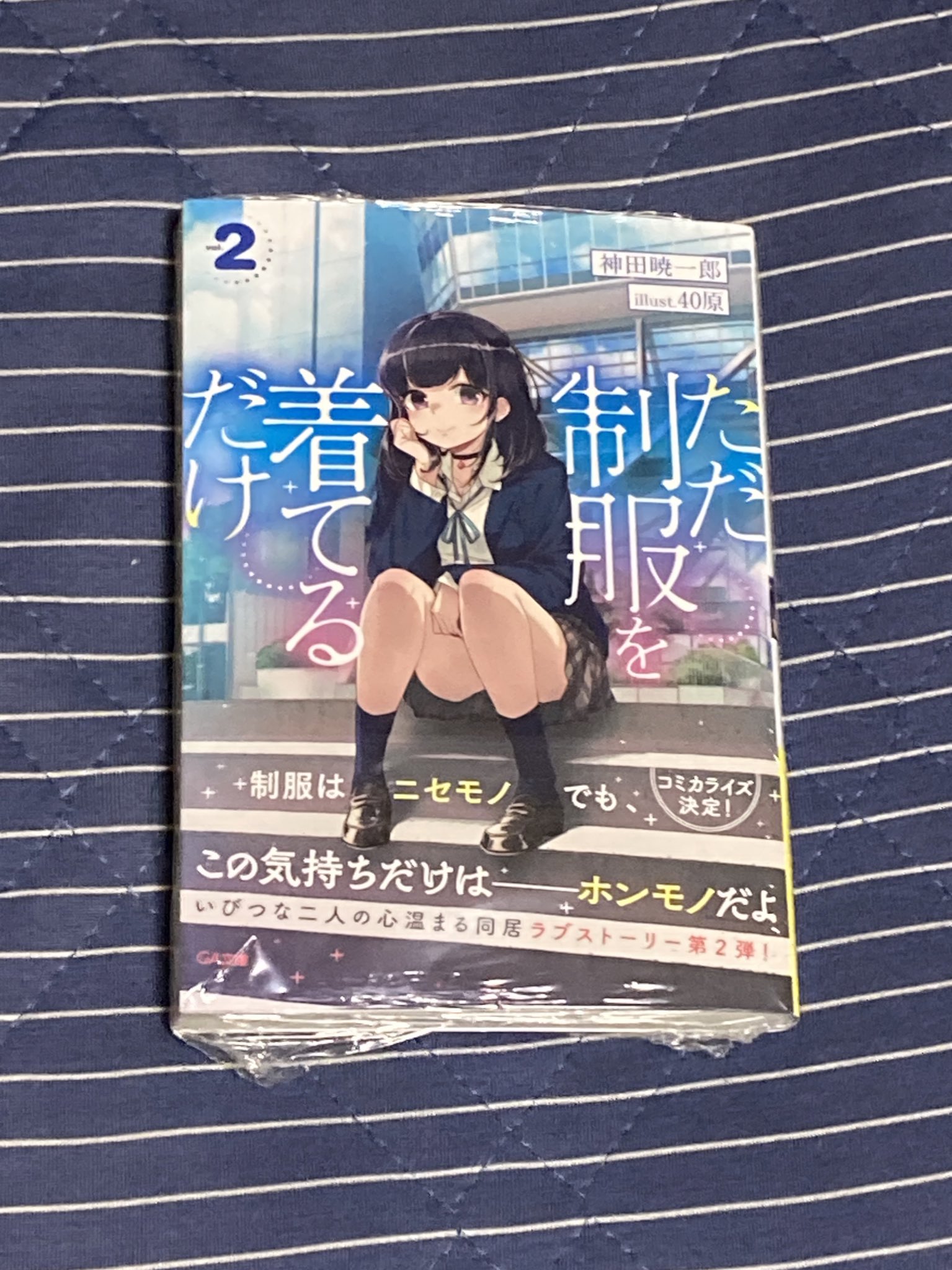藍田 匠 ただ制服を着てるだけ 2巻 2巻もやはりよかった 少しラブコメ感増えてラノベっぽさが出たけどやっぱりラノベとは違う感が強いしそこが何より楽しみな作品 これ続きまた読めるのかな 1巻の時のリベンジで表紙イラストの全身もしゃもしゃやり