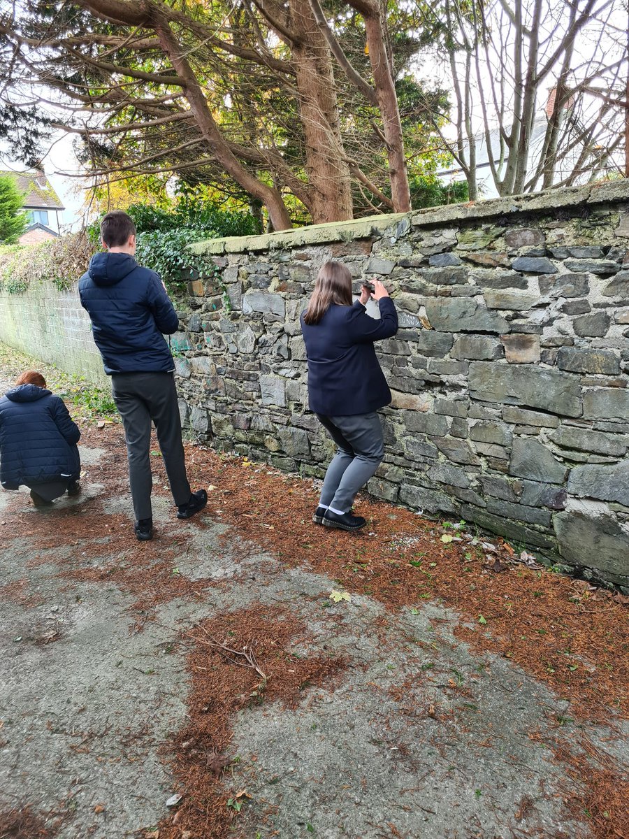 CranaCollMaths's tweet photo. TY Bród were delighted to start their Photography module after Halloween and they got to show off some skills this week with Brendan Diver, https://t.co/QrePsByifQ. Looking forward to seeing what they create using this week's theme 'Colour'. @cranacollege #WeAreDonegalETB https://t.co/UVDiZqcev3