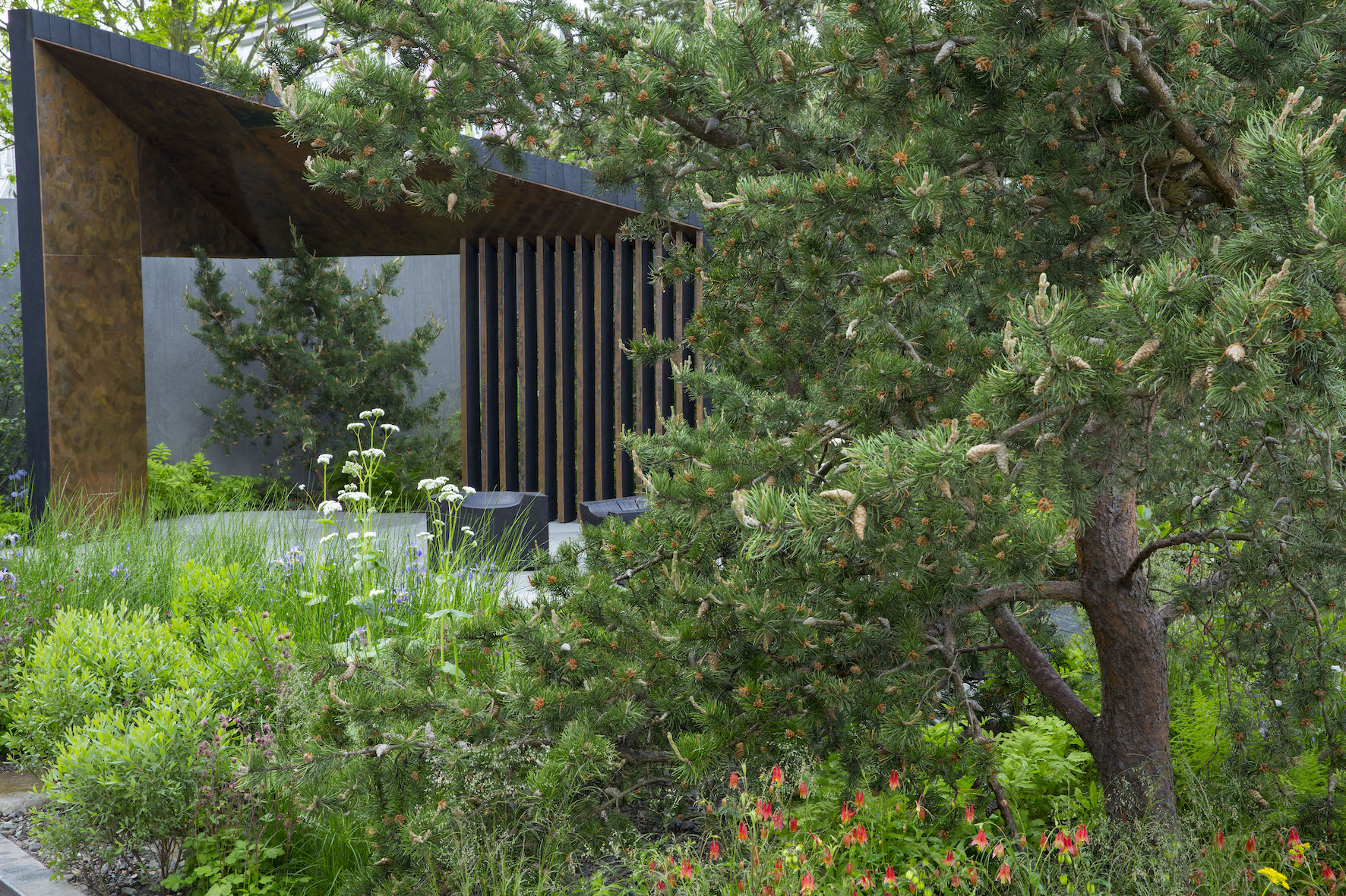 Charlotte Harris Charlotteharris Twitter