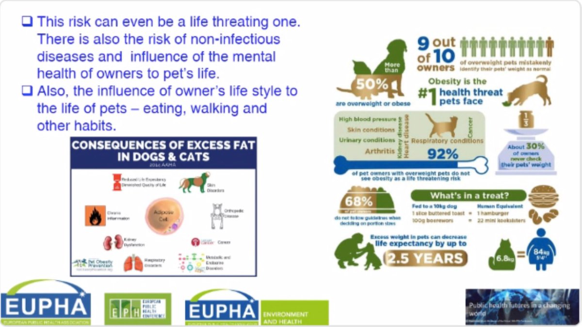 EUPHAnxt's tweet photo. One Health in Urban Environment - Dr. Marija Jevtic. "Pets play important social and emotional roles in the urban household."
#EPHFellow, #EUPHAatEPH2021 #EPH2021 https://t.co/5YF9O3Jp1b