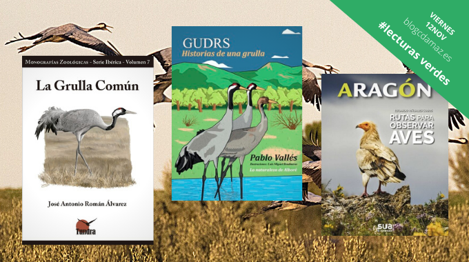 CDAMAZ's tweet photo. 🪶El tuit de hoy lleva plumas 
Vuelven las grullas y algunas se posan en las estanterías
📗La grulla común @TundraEdiciones 
📗Gudrs: historias de una grulla: la naturaleza de Alboré @ScriboEditorial
📗Rutas para observar aves @SuaEdizioak 
https://t.co/i6n4aQ9KUO
#LecturasVerdes https://t.co/xKdDwRM0Bi