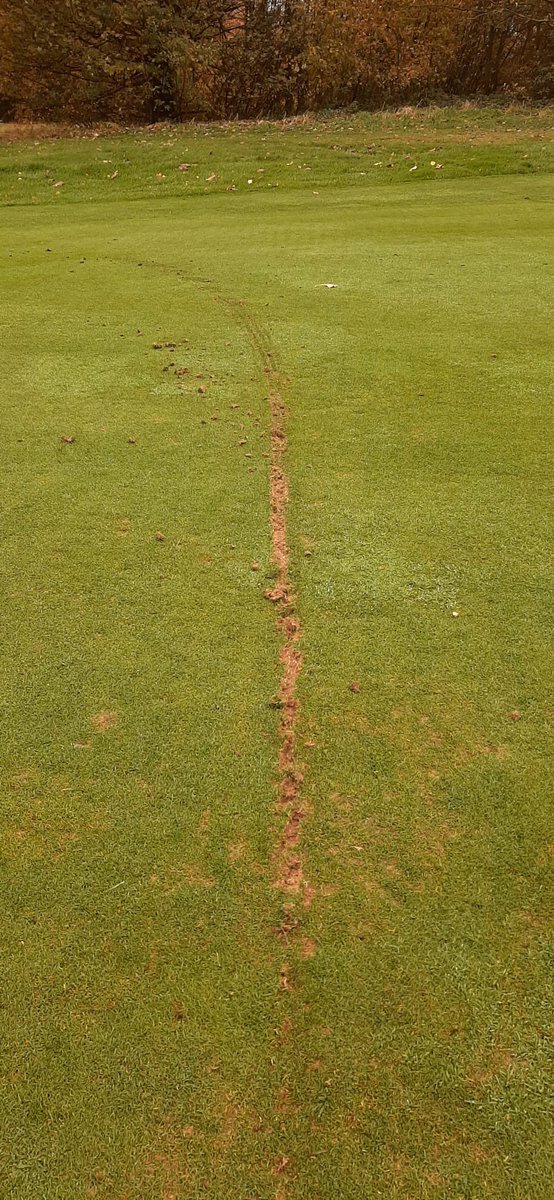 WakefieldGC-Greens tweet media