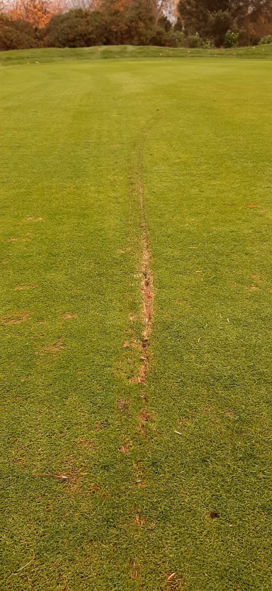 WakefieldGC-Greens tweet media