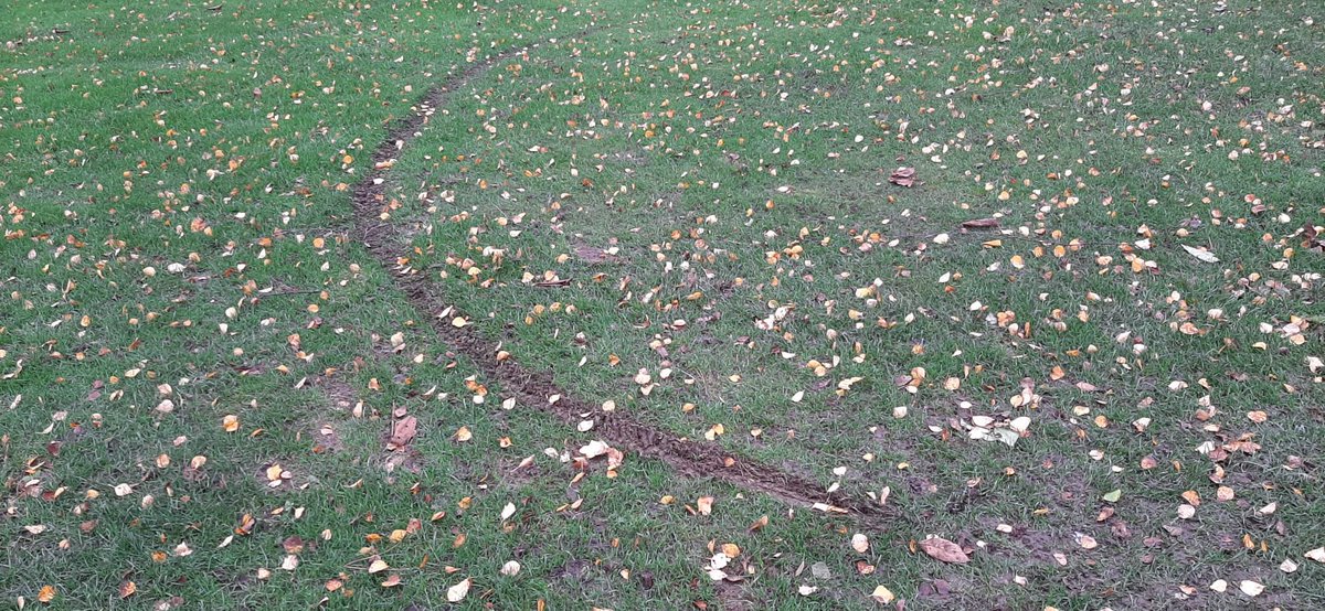 WakefieldGC-Greens tweet media