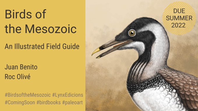 Presentation of forthcoming book "Birds of the Mesozoic. An Illustrated Field Guide” by Juan Benito and Roc Olivé. Due Summer 2022. Cover illustration of Ichthyornis, an extinct genus of toothed seabird-like ornithuran from the late Cretaceous period of North America.