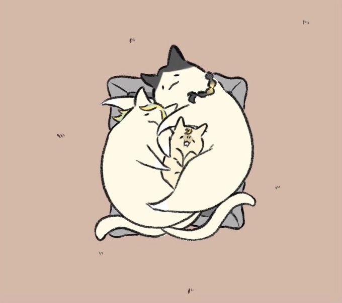 武の猫ベットで添い寝するにゃんこ灰武 