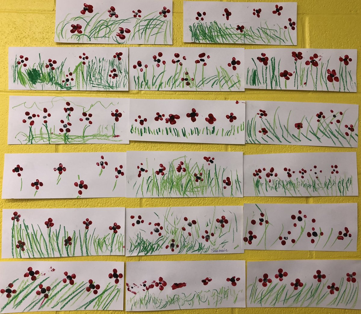 mrsjhayward's tweet photo. Our multi medium poppy field. We wear them over our heart as a symbol of peace, love, kindness and remembrance. #LestWeForget #apoppyistoremember @StTeresasSchoo1 https://t.co/gPQ6D46aew