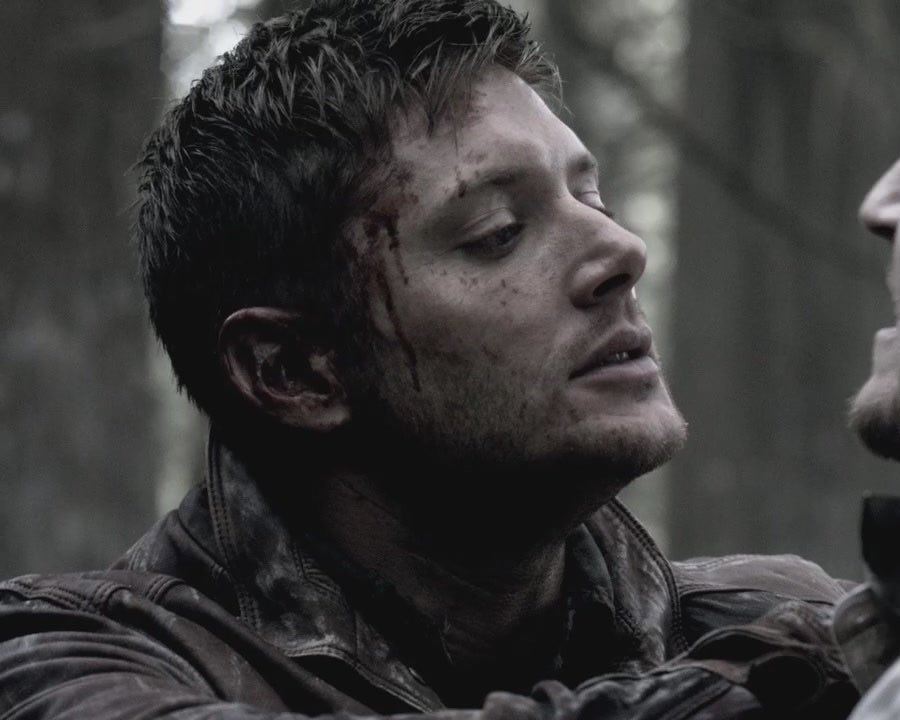 ladieslovedean's tweet image. 