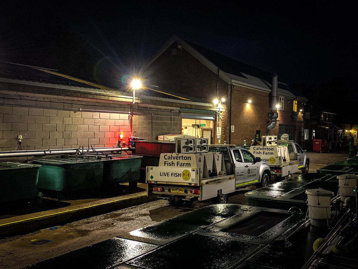 FishFarmEA's tweet photo. This week @FishFarmEA we have stocked out over 26,000 fish!!!! In to rivers and lakes in England. All funded by #rodlicence. #TeamEA #CalvertonFishFarm https://t.co/dOqKKBWj0H