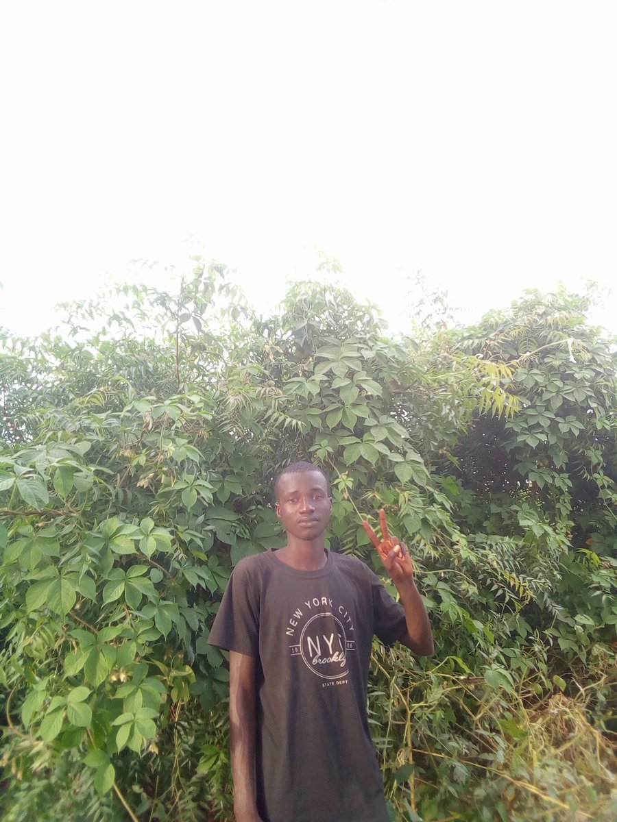 DannySecret2's tweet image. 