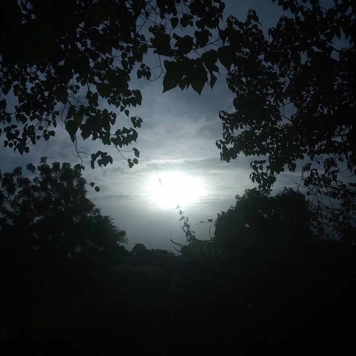 DannySecret2's tweet image. The sun shines today ❤️🇬🇲💯