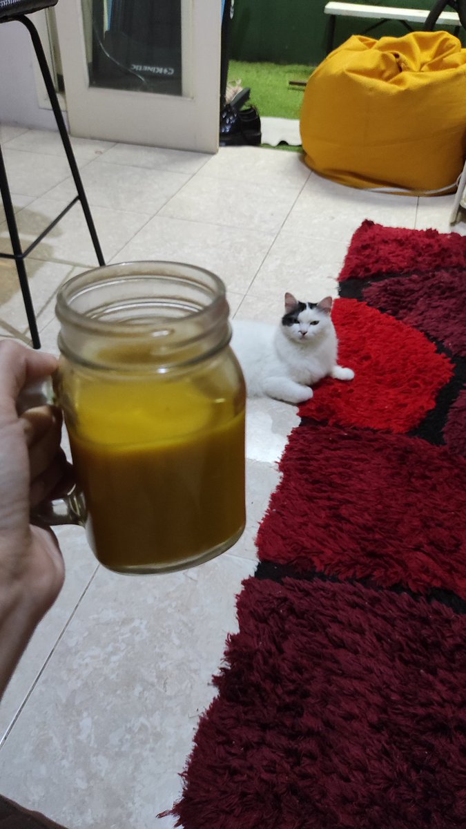 bintik_'s tweet photo. Idih masa bintik dikasih jamu, bintik kan maunya starbaks https://t.co/oe0PTQCtM8