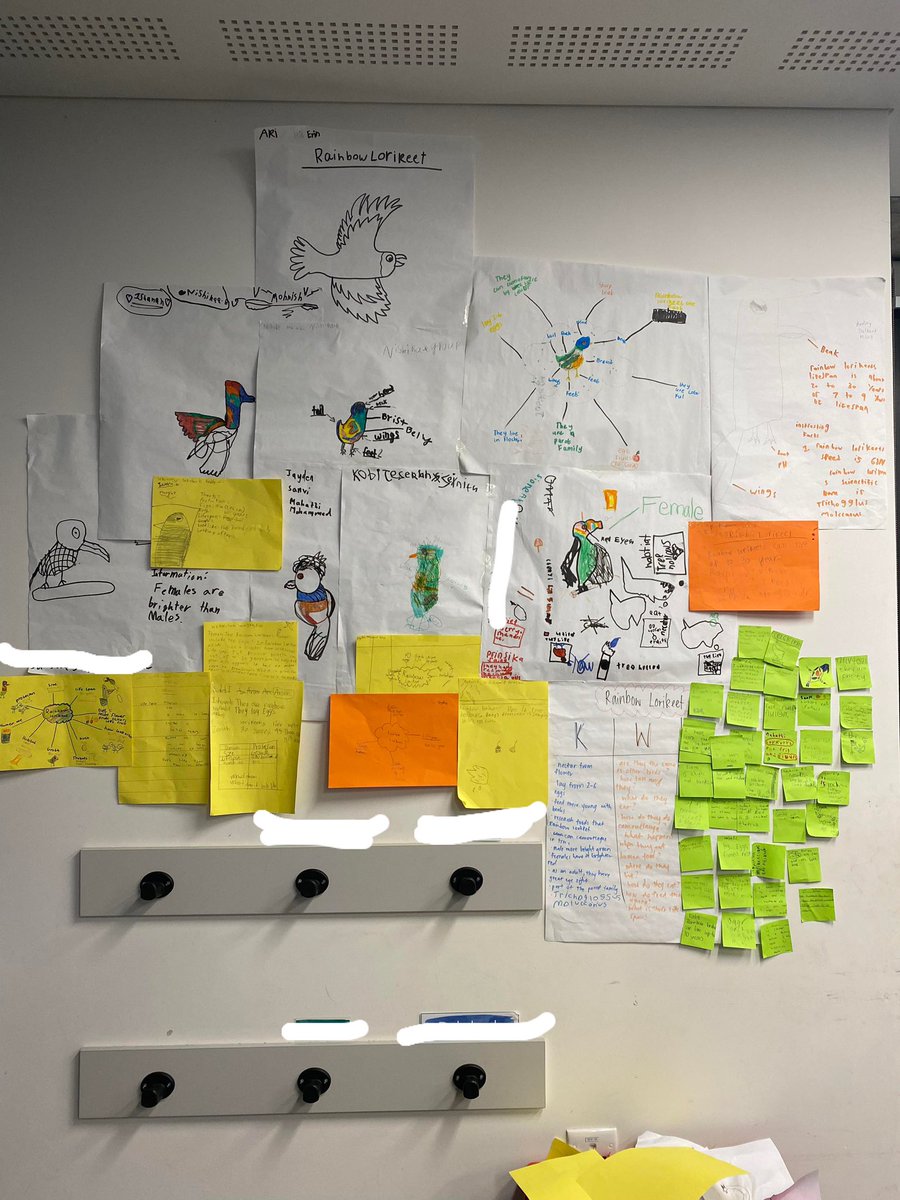 This week we looked at the rainbow lorikeet! Very happy at what the students have learnt 🤗😃 #ACUedu_p #australianbirds #rainbowlorikeet