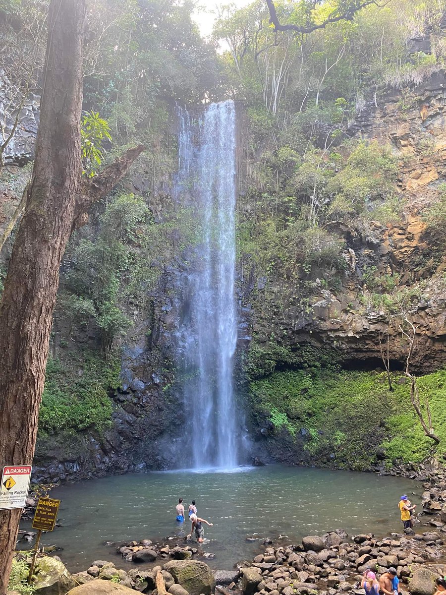 _davewiff's tweet image. Day 1:  5 hour adventure into the middle of Kauai for this view