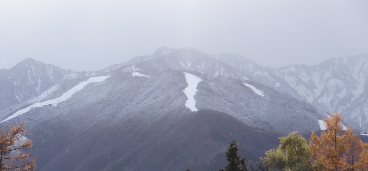 Hakuba_47's tweet photo. Route1上部をはじめとするLineC周りのコースは真っ白に！！　五竜もグランプリは真っ白！！
お日さま当たれば一発で無くなっちゃいそうですが…。
#hakuba47 #白馬47 #雪 #snow #ski #snowboard #hakubavalley #route1 #route2 #route3 #linec #白 https://t.co/WXsNJPrSEs