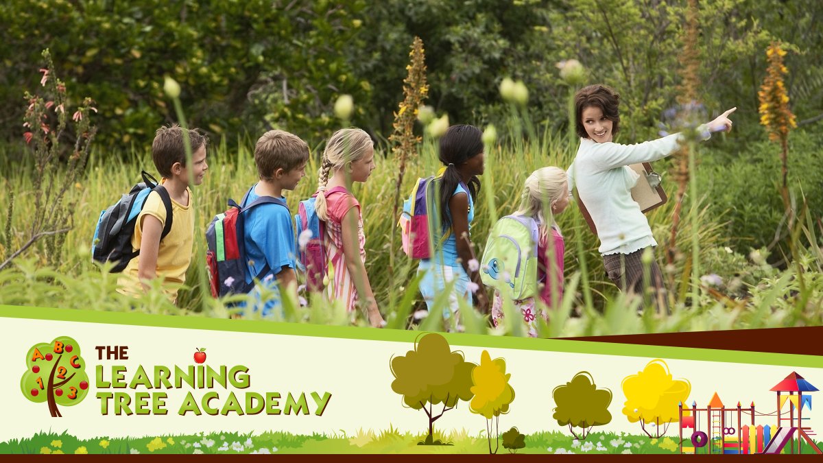 The Learning Tree Academy (@Learning_TreeA) / Posts / X