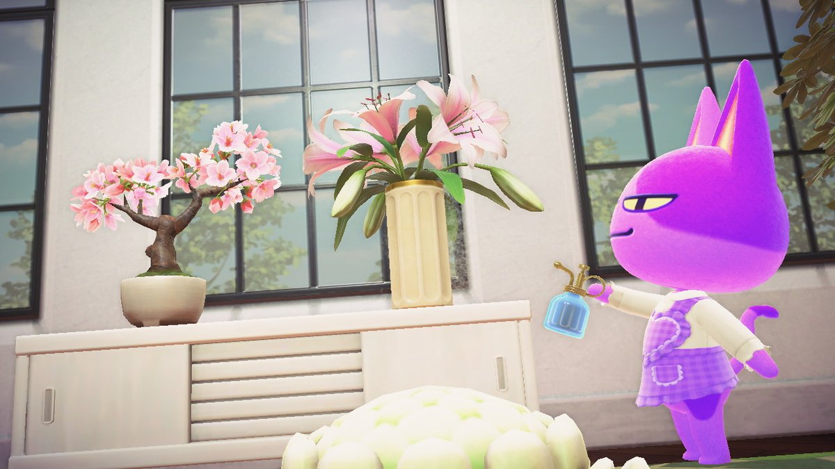 CondeNook's tweet photo. #AnimalCrossing #ACNH #NintendoSwitch https://t.co/wnanZpqVWG