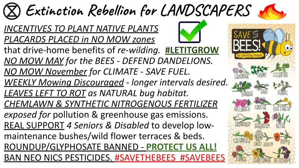AgProgressUSA's tweet photo. #ClimateAction ππfor Grounds Keepers!
Let the #Mowing #bestpractices debate begin!
Theres Ppl Who Say you Have to MOW Every Week. But how are We to #SAVEFUEL / Burn Less Fuel?
#ExtinctionRebellion #LetItGrow
#organicgarden #PrairieRestoration #NoMowZone #SaveTheBees https://t.co/jxJGNSgN0C