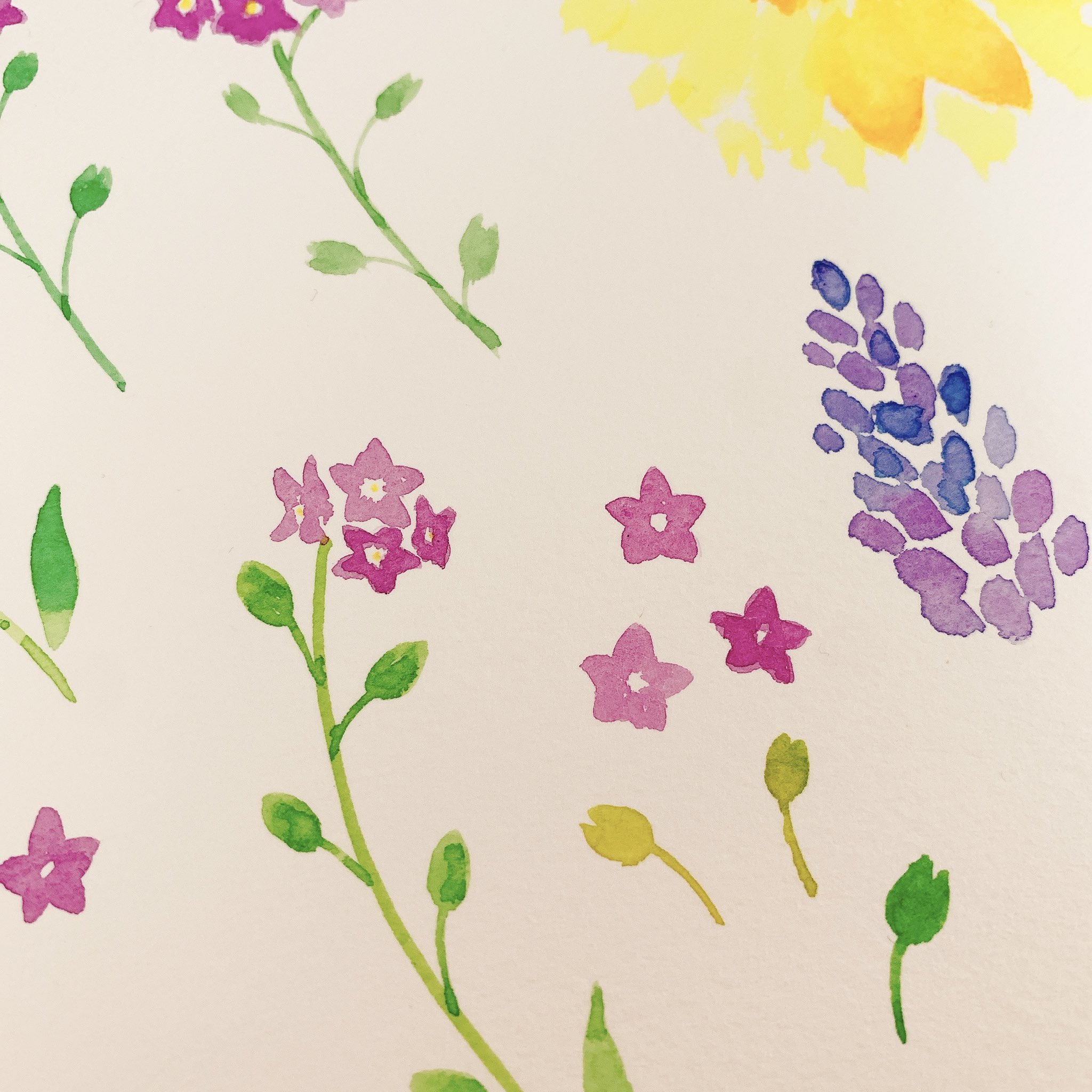 Naminamiland Naminamiland Twitter