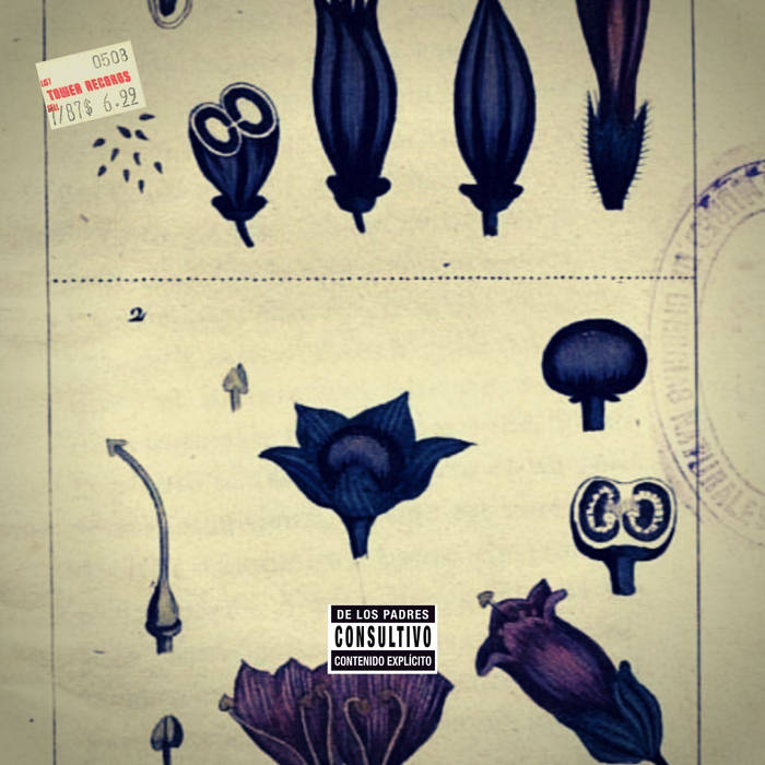 "BELLA DONNA"
@TheGreatFlood7 x <a href="/EsteeNack/">ANAXIMANDER 🛫🇩🇴</a> 
Produced by Yashmall Allah
🔊 nowaahtheflood7.bandcamp.com/track/bella-do…