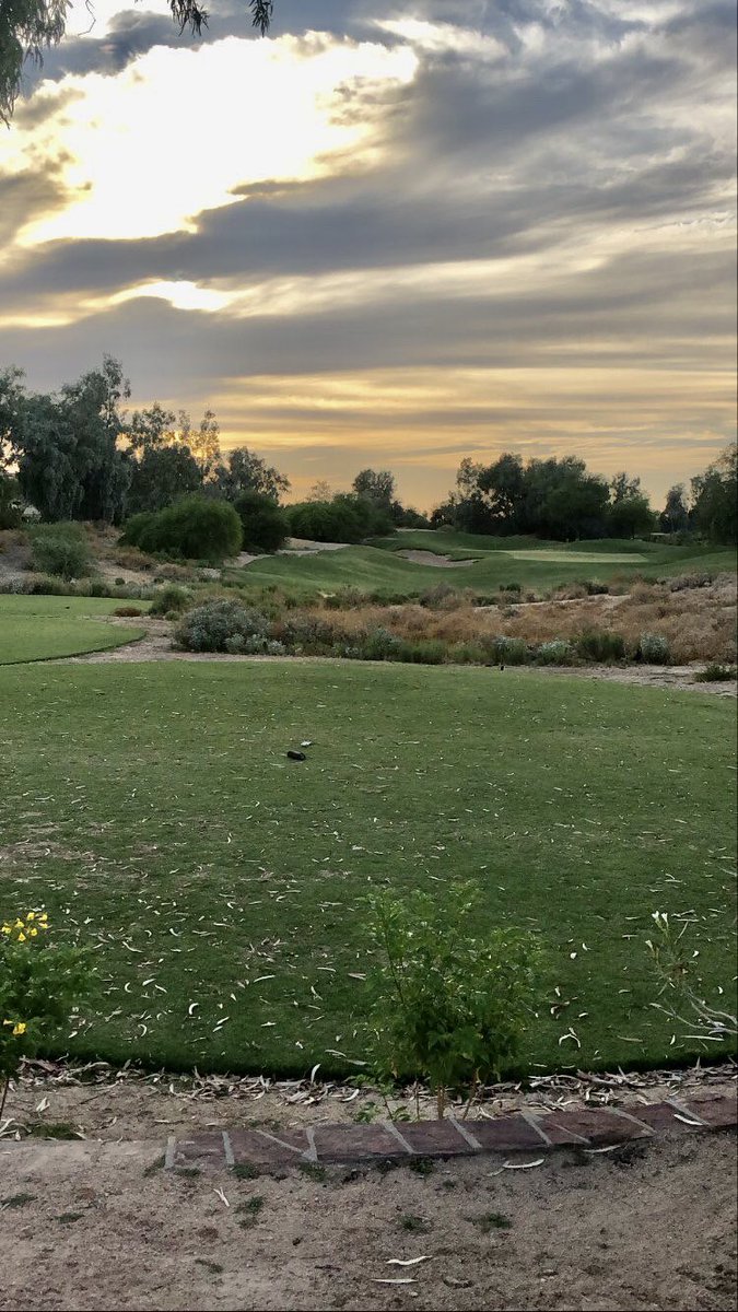 PidgeGolf's tweet photo. Positivity always wins…always! 
-
-
-

  #golf #golflife #instagolf #golfaddict #golfislife #golfer #arizonagolf #golfing #golfswing #juniorgolf #golfuk #irishgolfer #골프 #golfinsta #ごるふ #ilovegolf #forrowme #ゴルフ練習 #golfcanada #lovinglife #テンポ #ゴルフ女子 #cjpgolf https://t.co/r1eg0gY36R