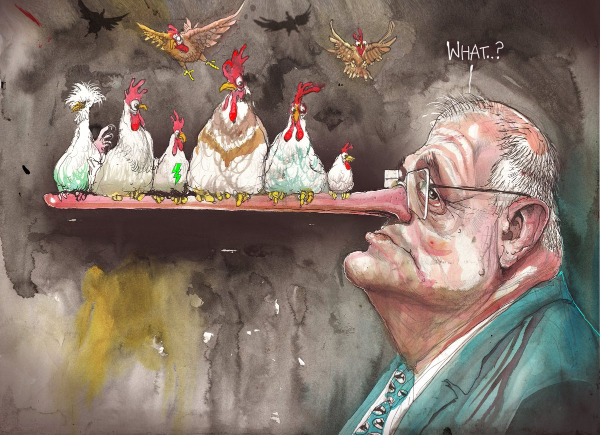 Oz Prime Mendacious sQomo finds a few feathered friends on the nose